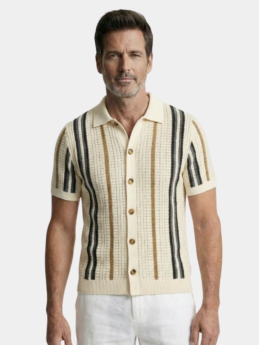 Polo: Sunset Groove Edition